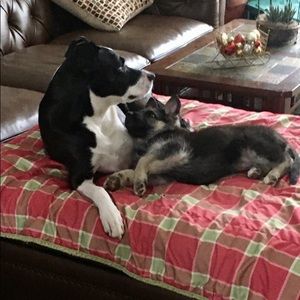 Meet your Posher, Maggie